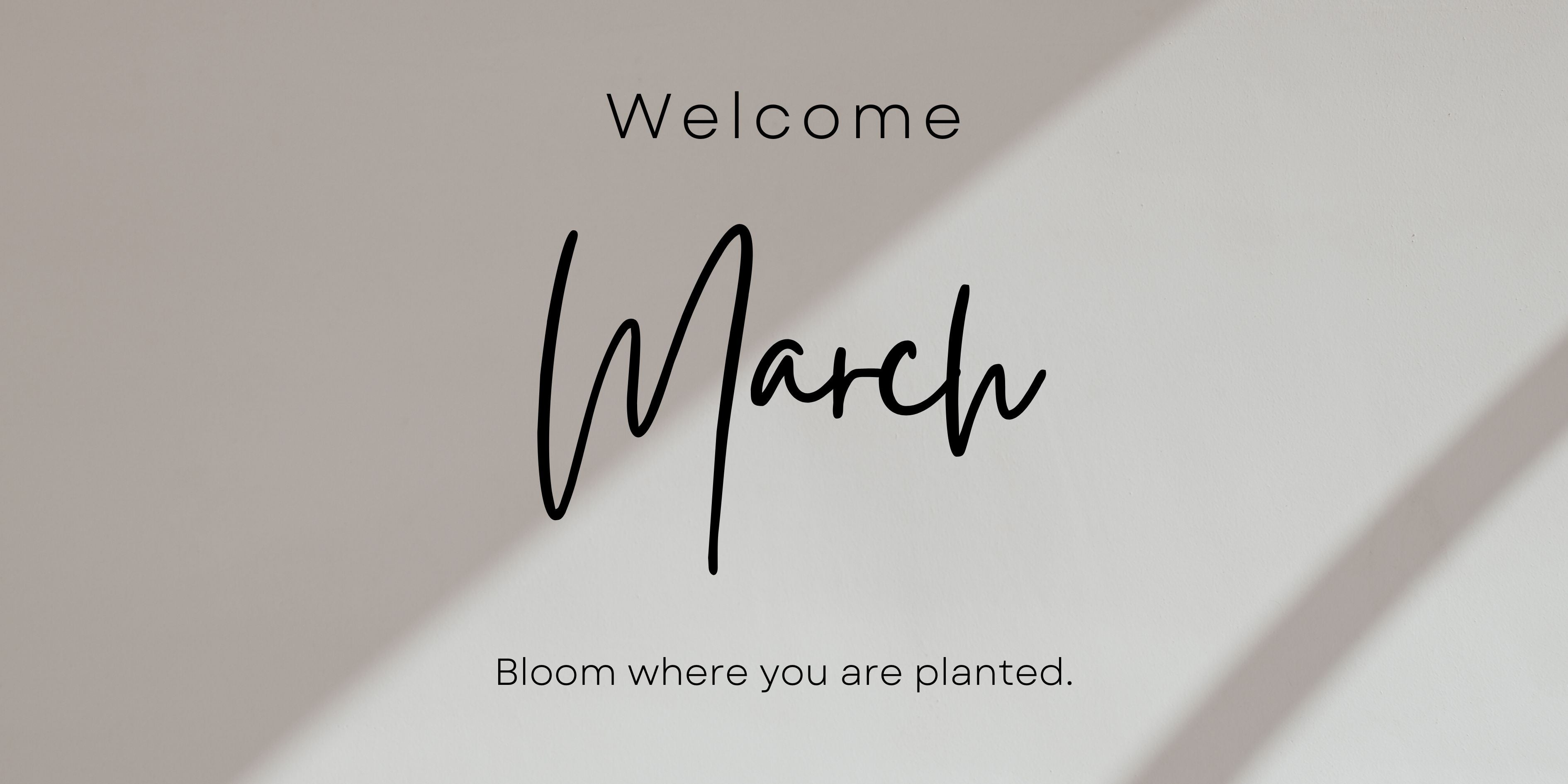 slider image slider_item_HckQGJ